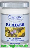 Bl�b�r Blueberry 60 stk. 